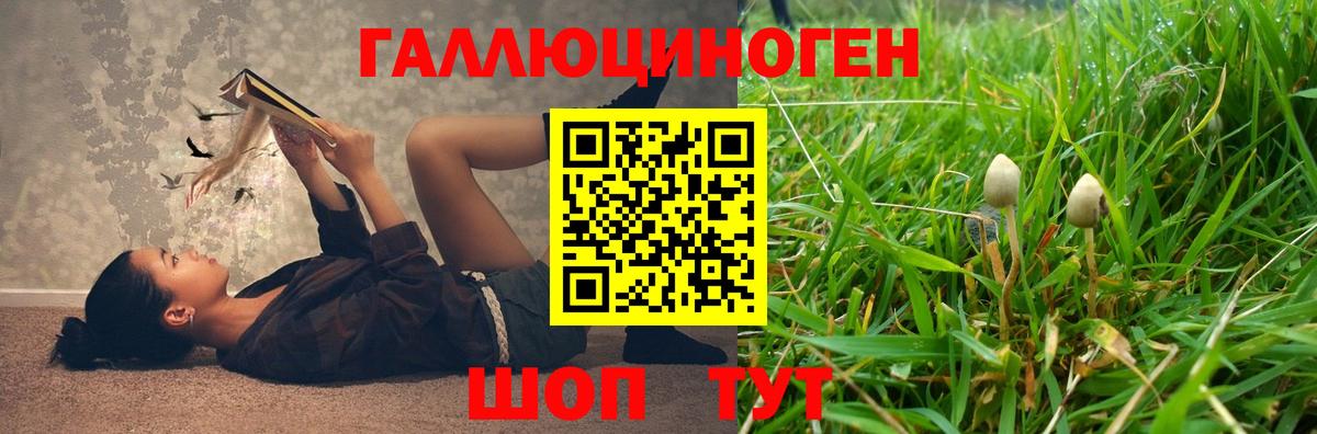 Галлюциногенные грибы Magic Shrooms Сегежа